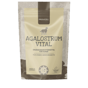 AGALOSTRUM VITAL 120 Kapseln (Hund)