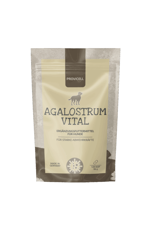 AGALOSTRUM VITAL 120 Kapseln (Hund)