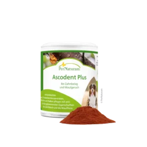 ASCODENT Plus   50g   (Hund)