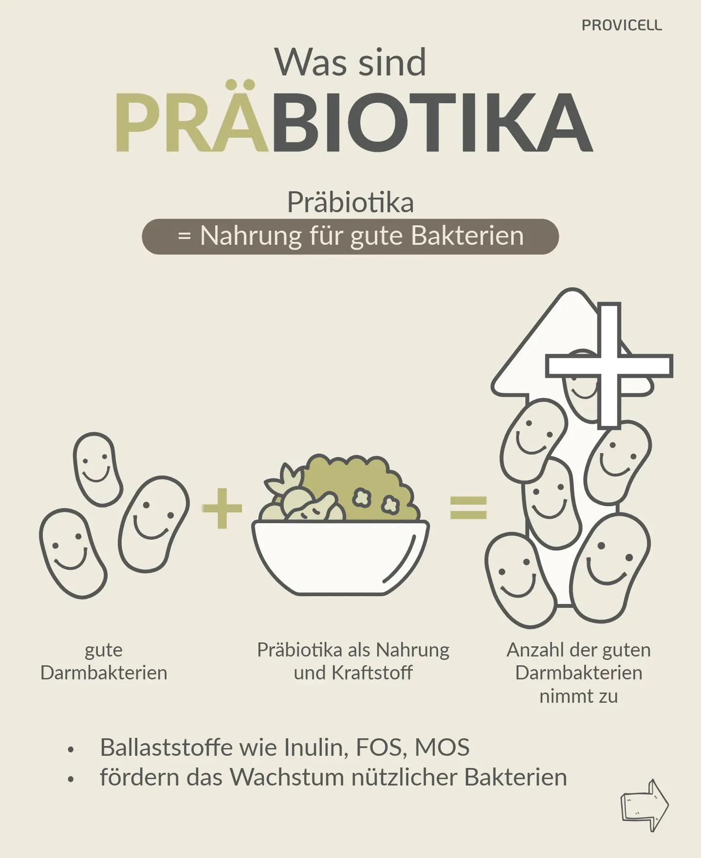 Präbiotika Hund und Katze