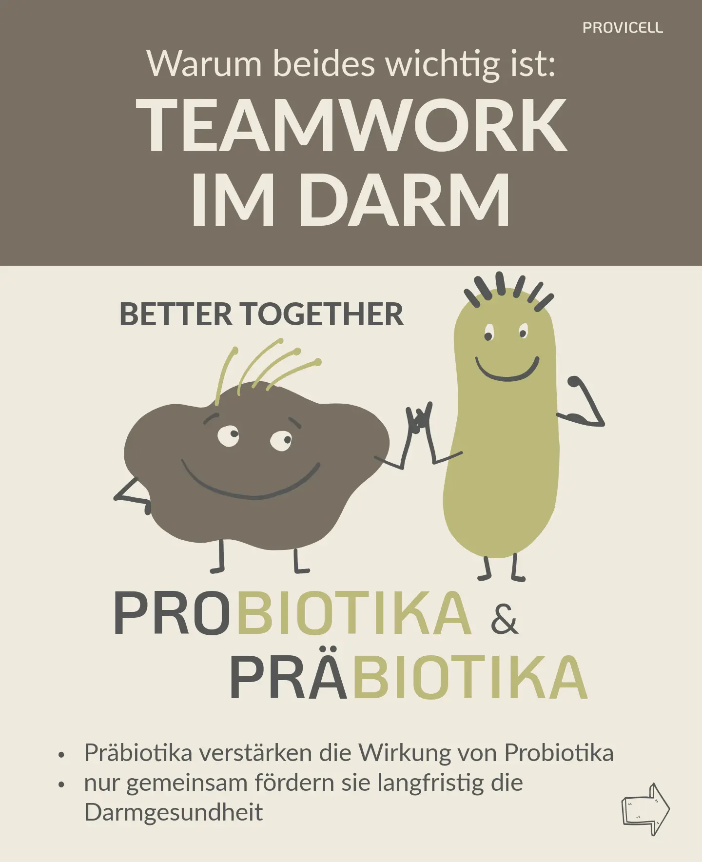 Prä- und Probiotika Darmgesundheit
