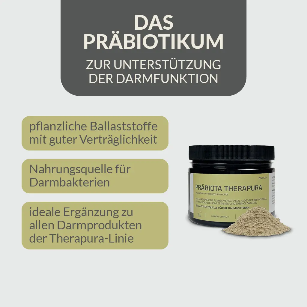 PRÄBIOTA THERAPURA 250g (Hund) – Bild 2