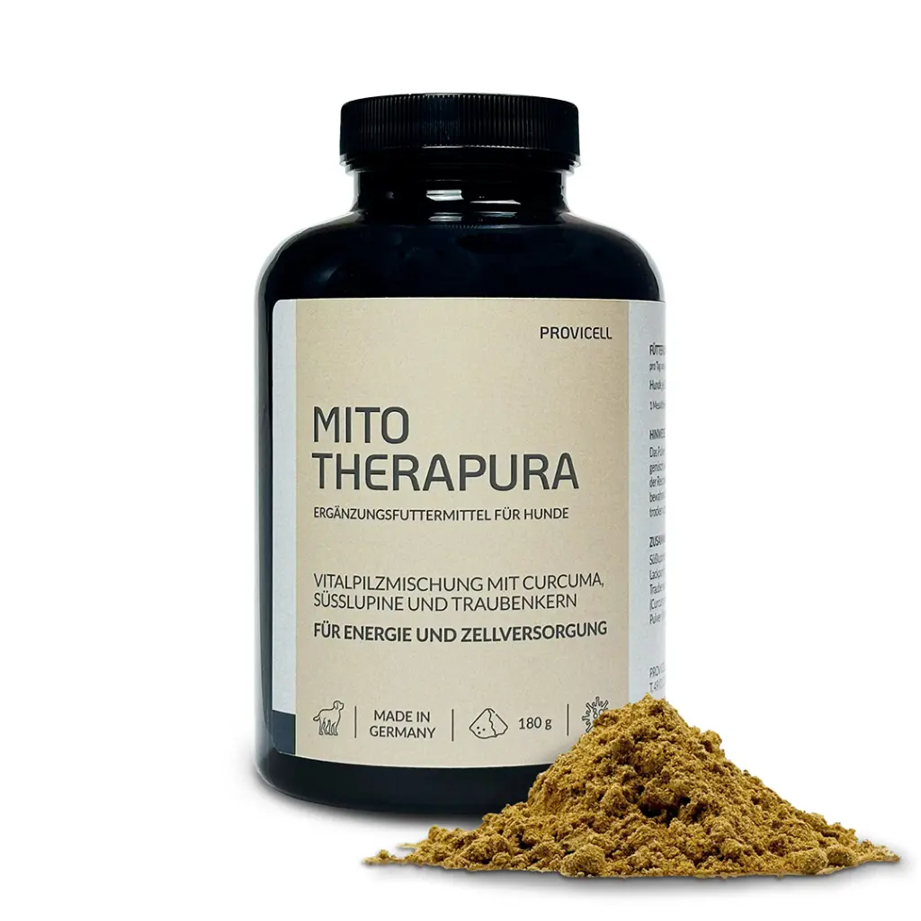 Mito Therapura Mitochondrienkraft für Hunde
