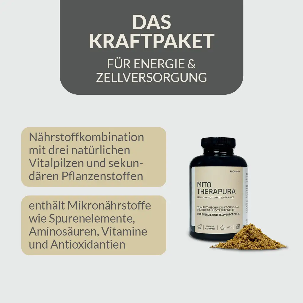MITO THERAPURA 180g (Hund) – Bild 3